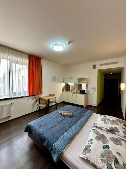 קושיצה Apartman Priamo Na Hlavnej Ulici מראה חיצוני תמונה